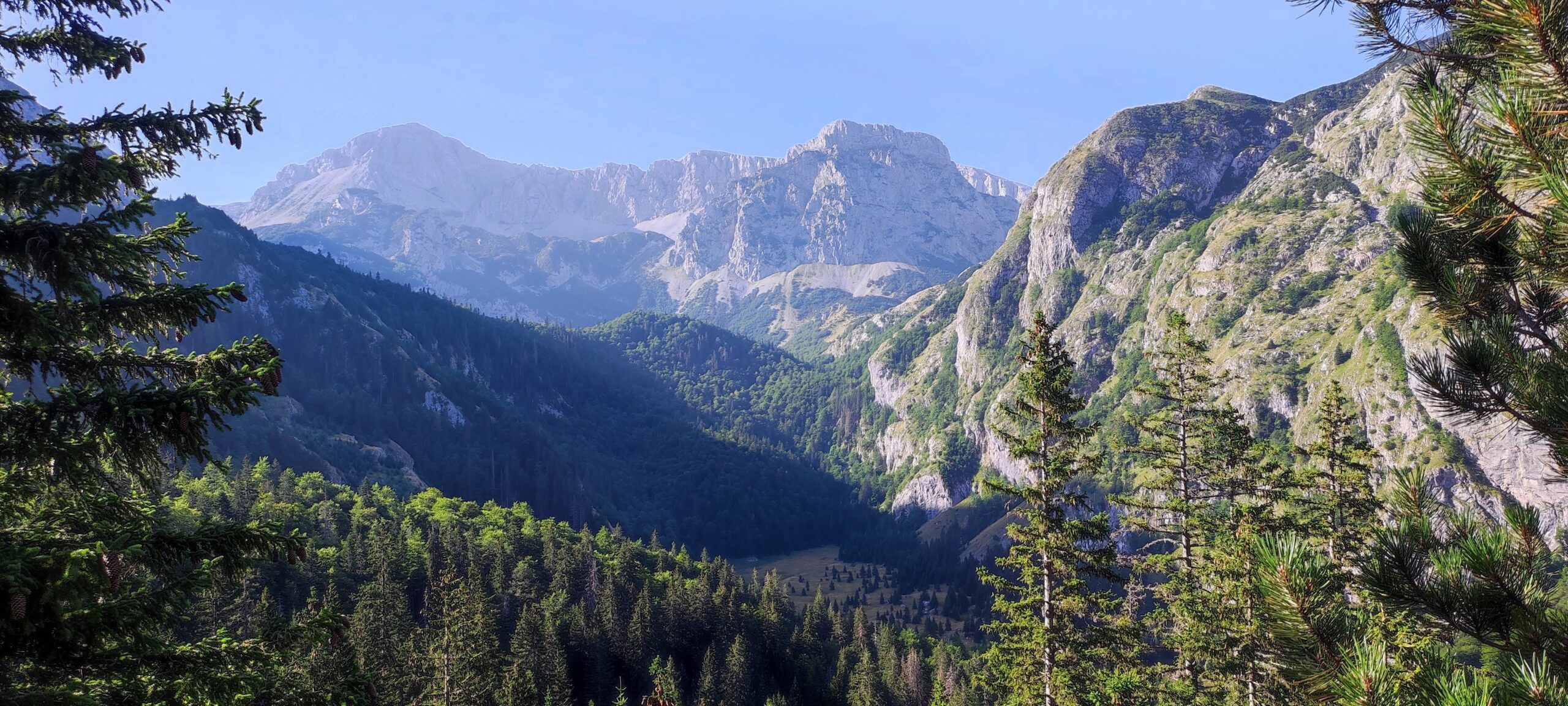 Dolina na putu za Trnovačko jezero sa Prijevora