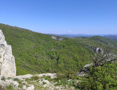 Gornjačka klisura – Via Ferata i penjanje